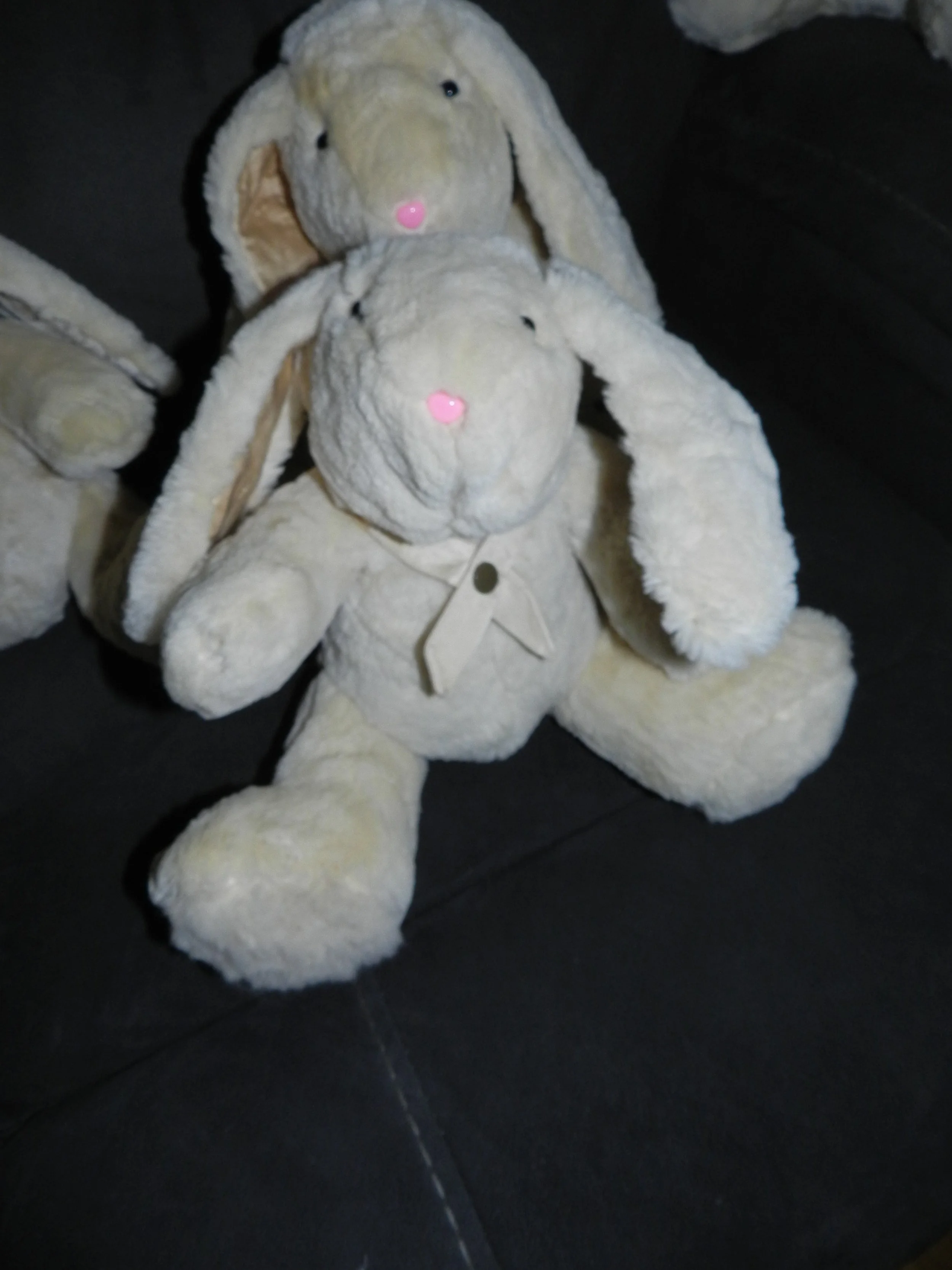 DSCN7707.JPG