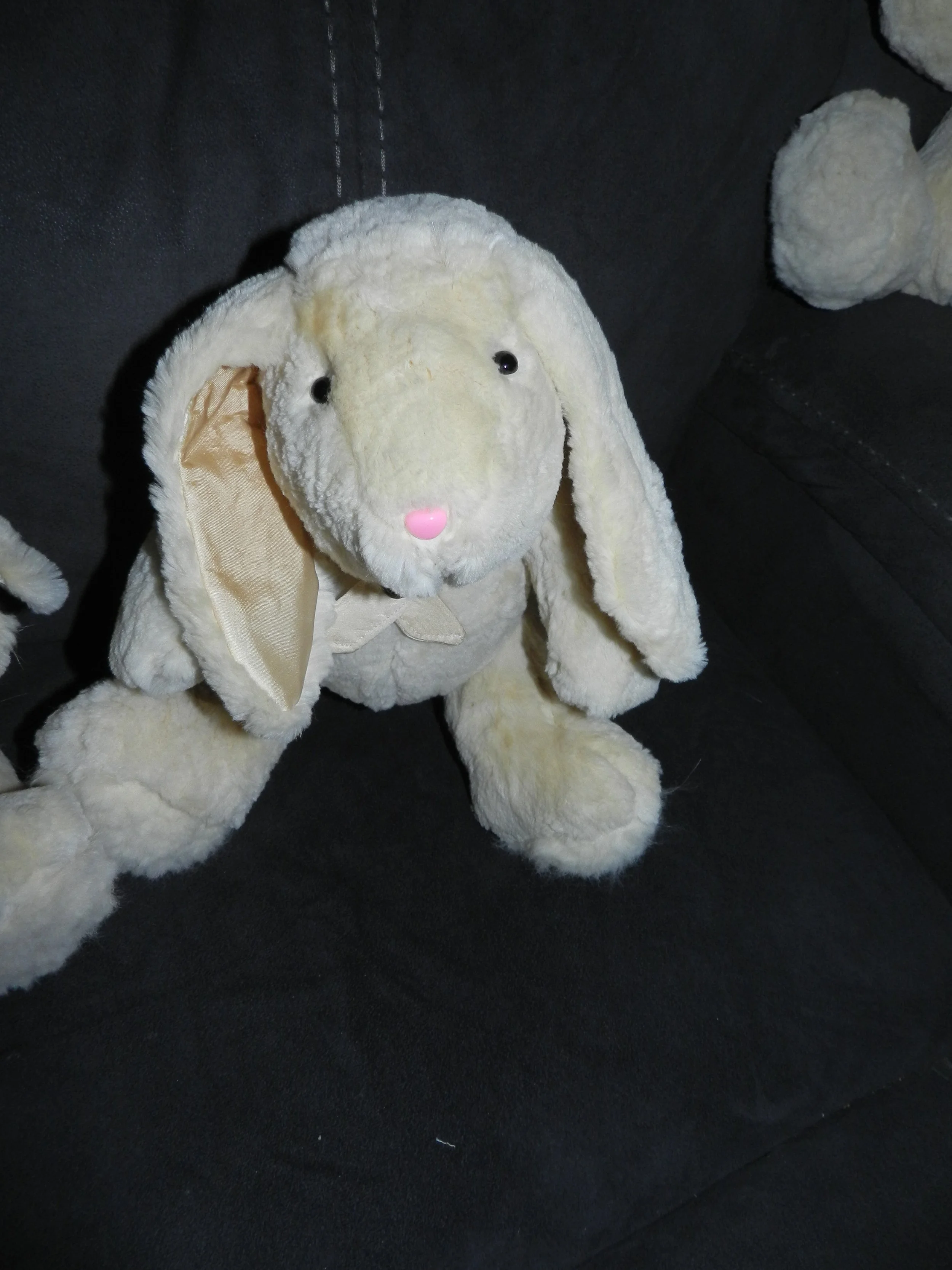 DSCN7708.JPG