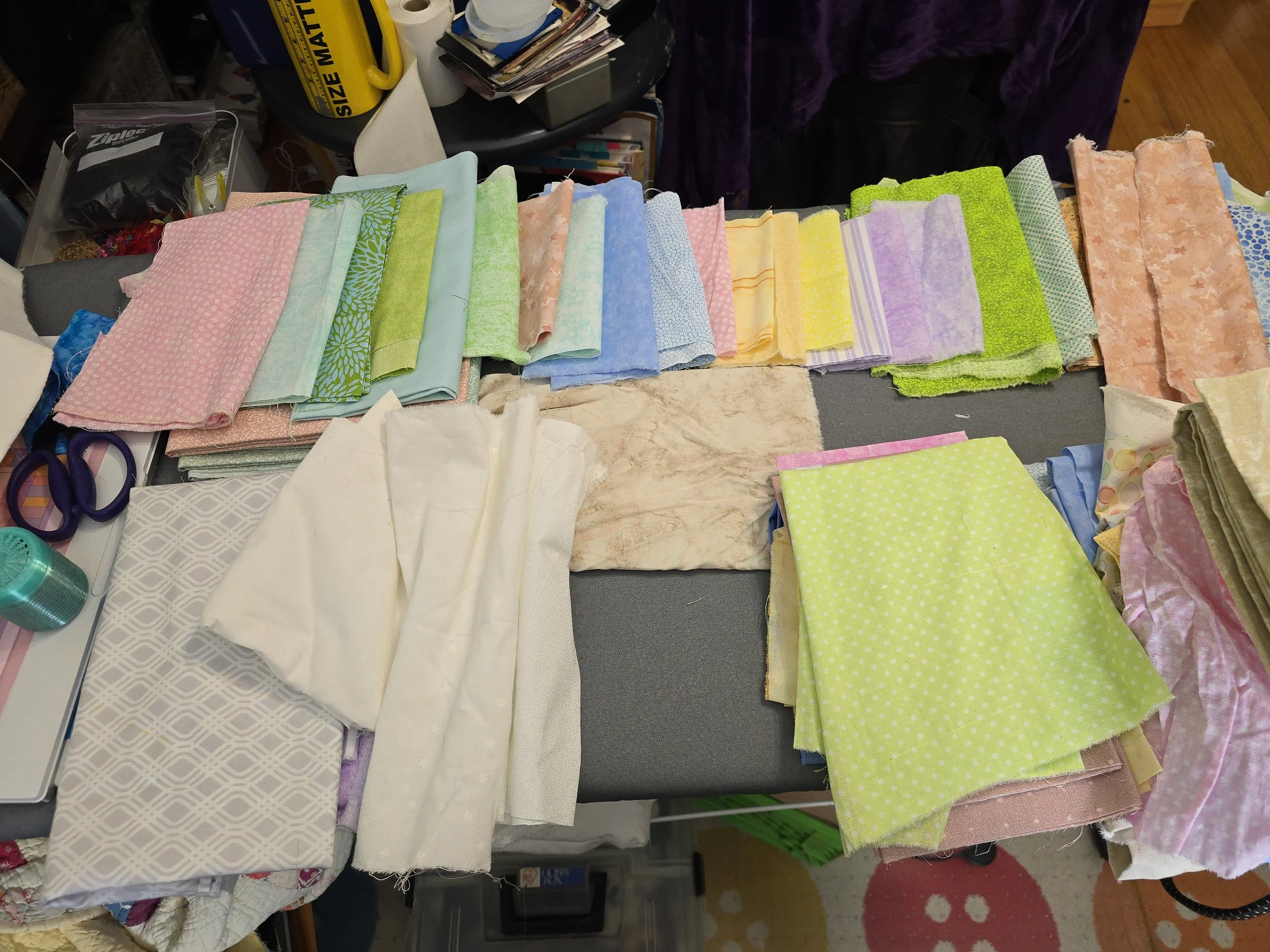 20260116_113917.jpg