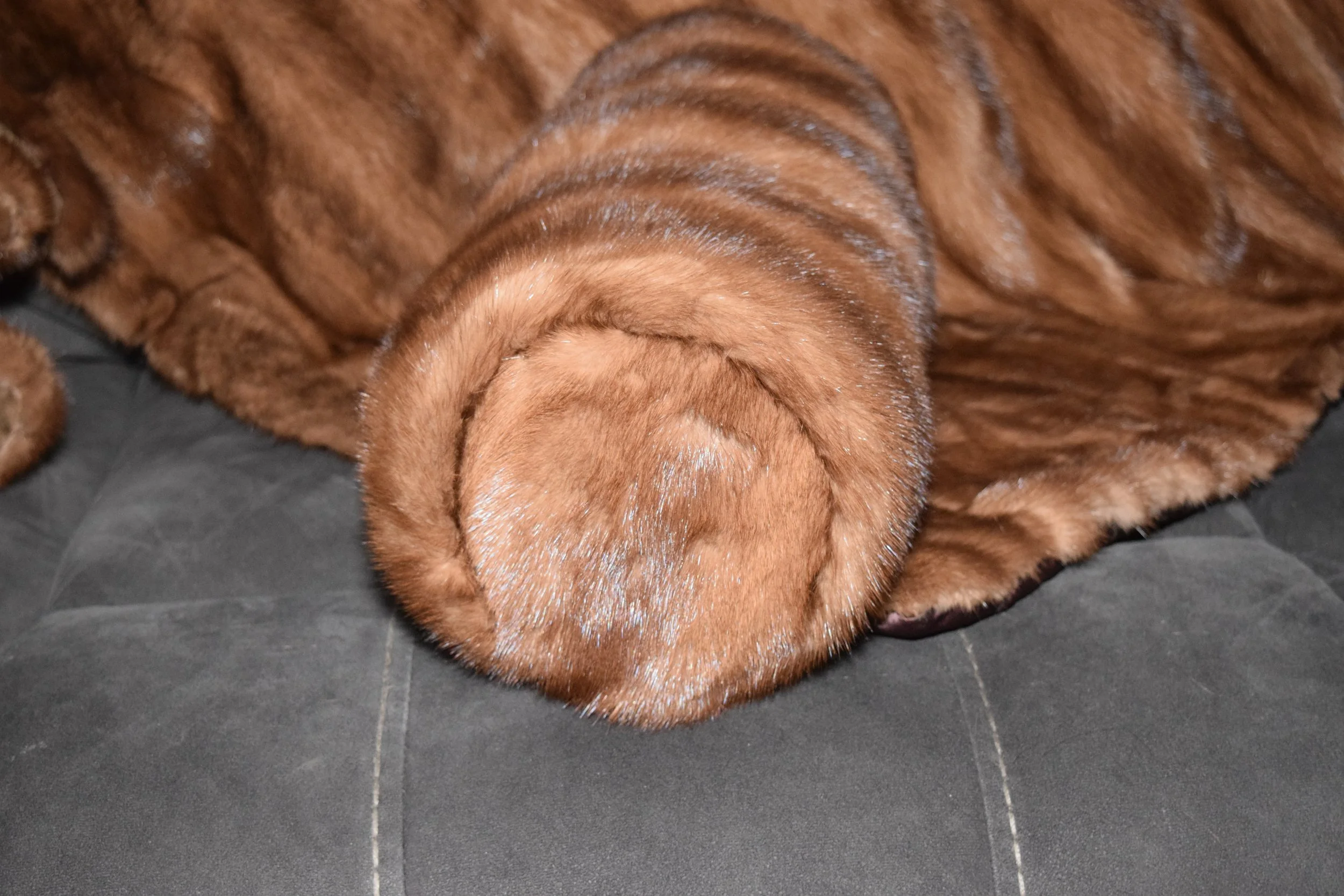 DSC_0028.JPG