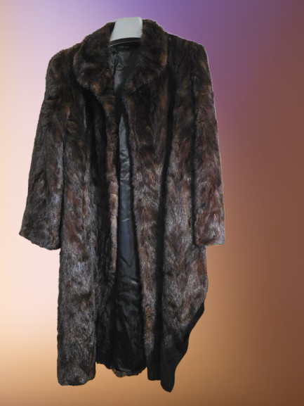 20260814_161314-removebg-preview (1).png