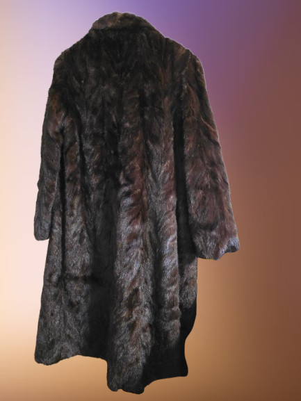 20260814_161331-removebg-preview (1).png