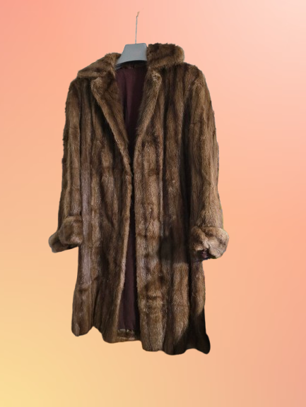20260814_161408-removebg-preview (1).png
