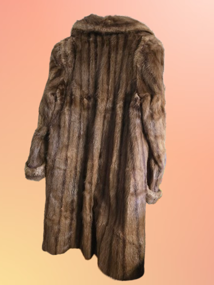20260814_161420-removebg-preview (1).png