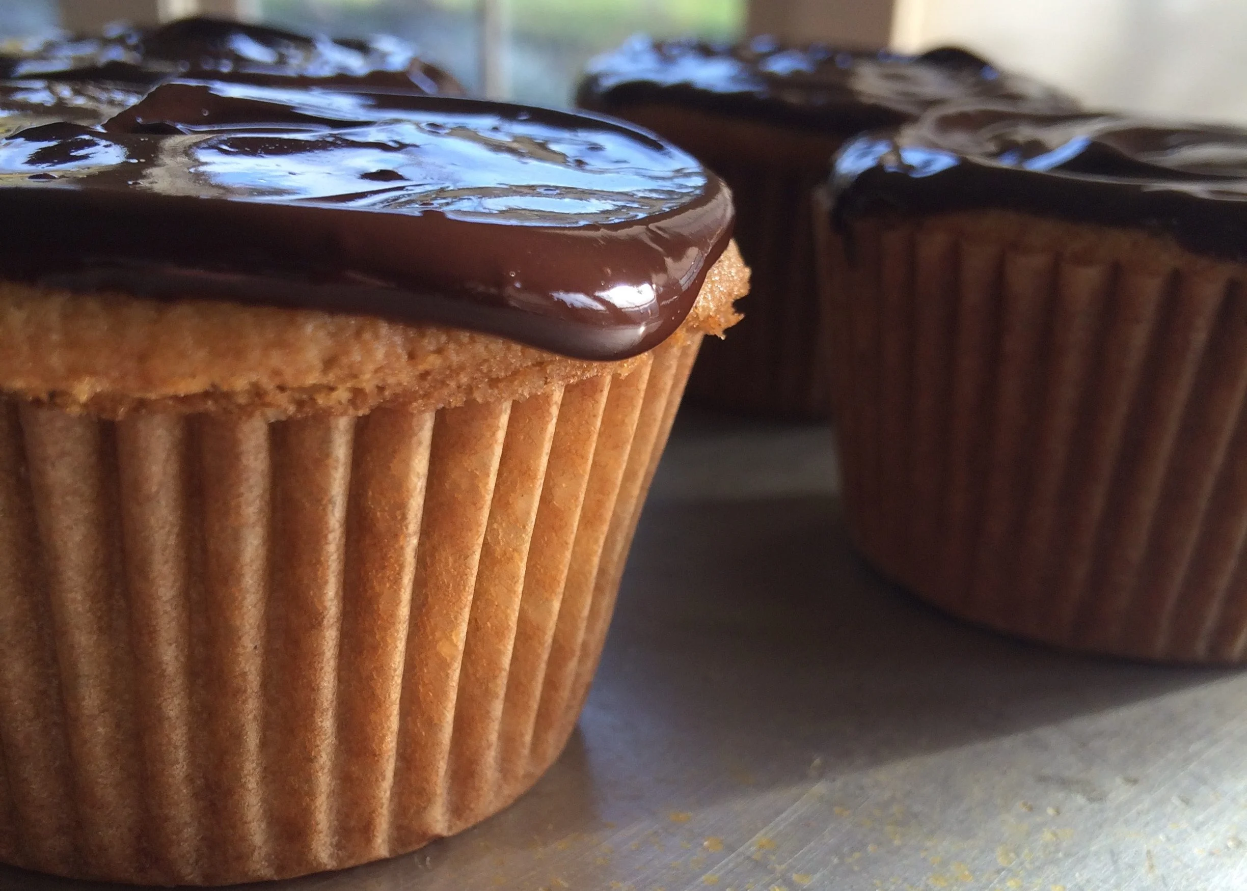 to the rescue: baking + dogs, on a raisin and a porpoise