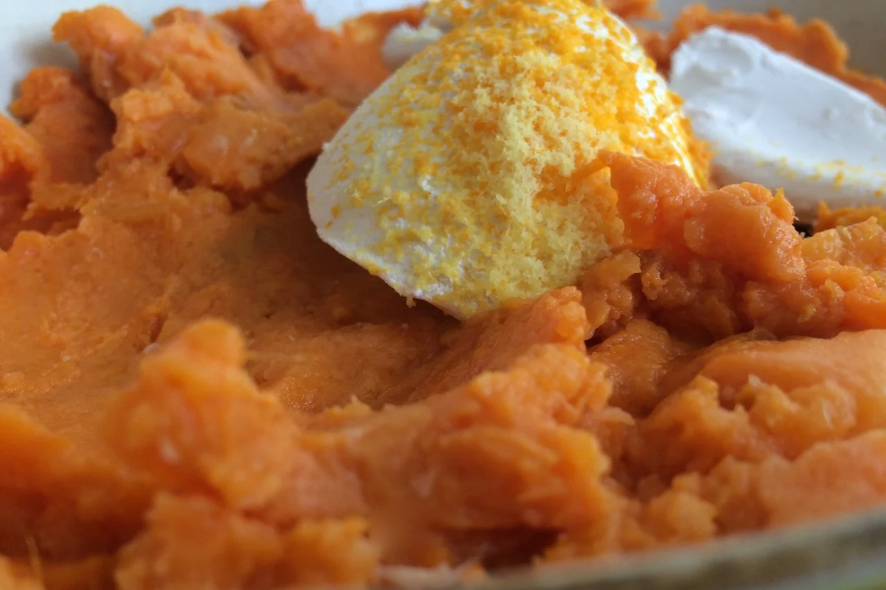 sweet potato + blood orange salad | a raisin + a porpoise