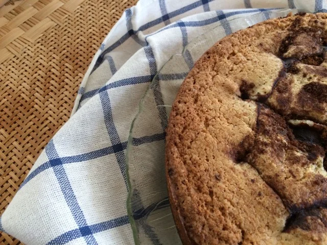 where skunks meet cinnamon | plum cake on a raisin + a porpoise