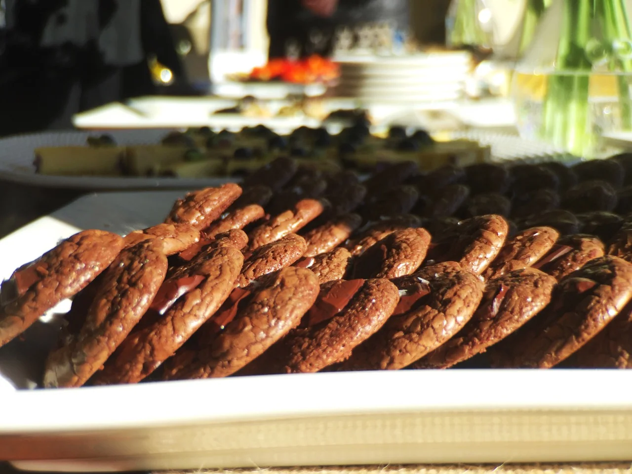 creamy rooibos apricot popsicles | a raisin + a porpoise