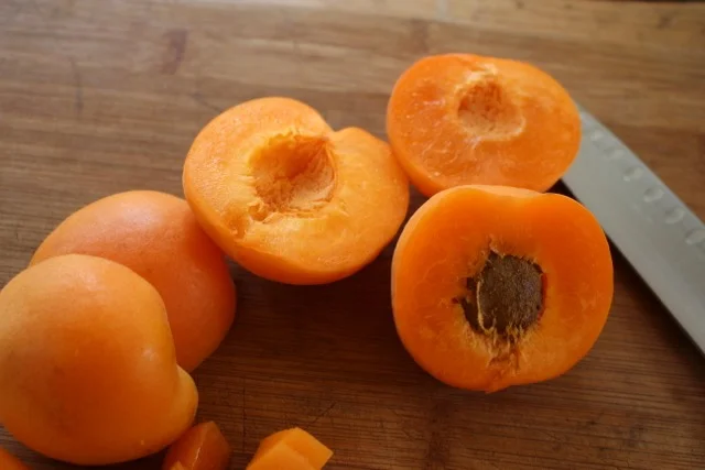 creamy rooibos apricot popsicles | a raisin + a porpoise