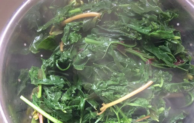 making bank: socking away summer greens on a raisin + a porpoise