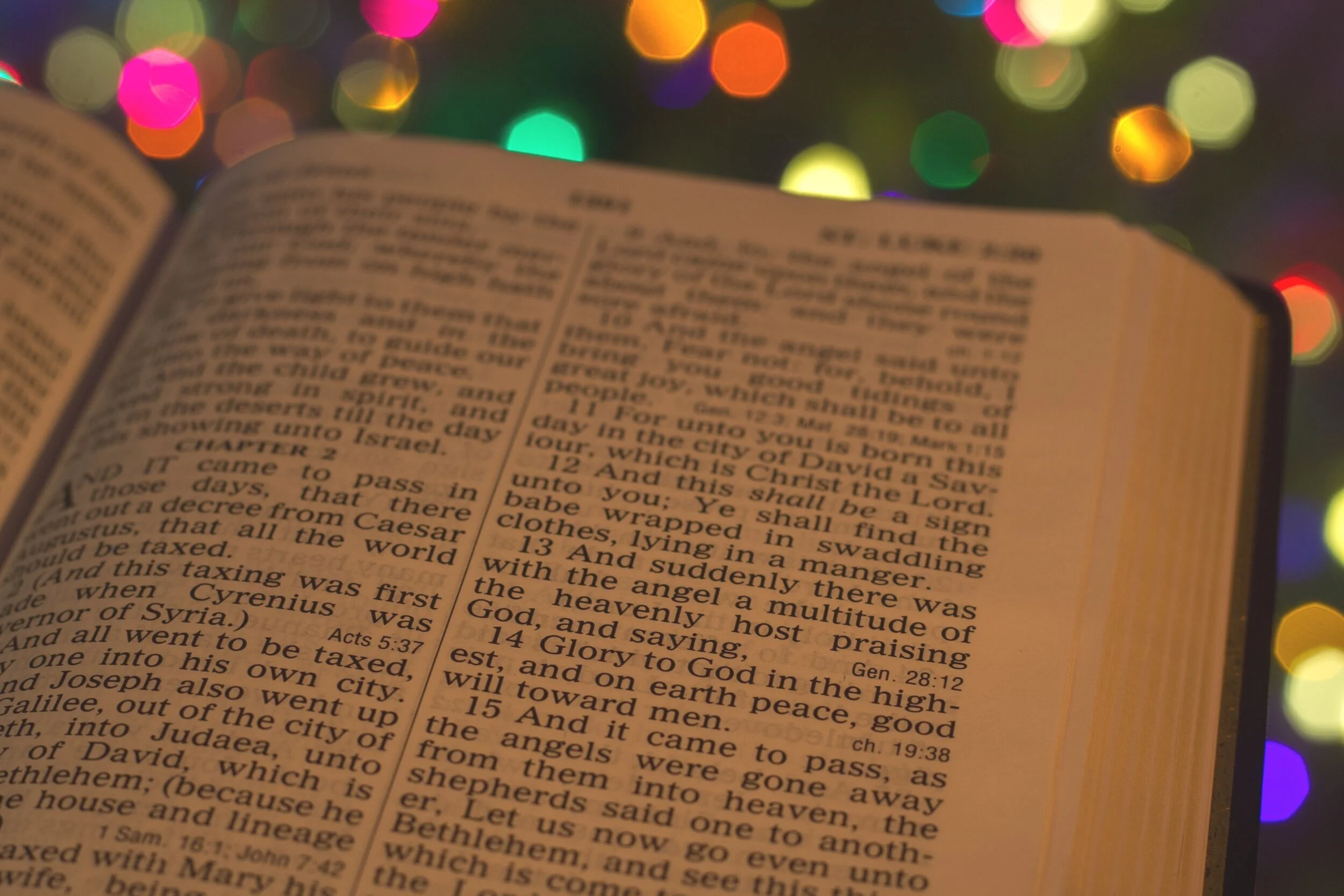 Prince of Peace | Advent Reflections