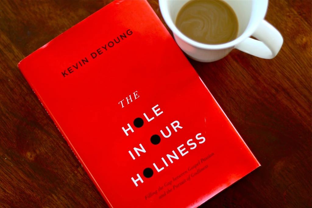 The Hole In Our Holiness (Book Review)