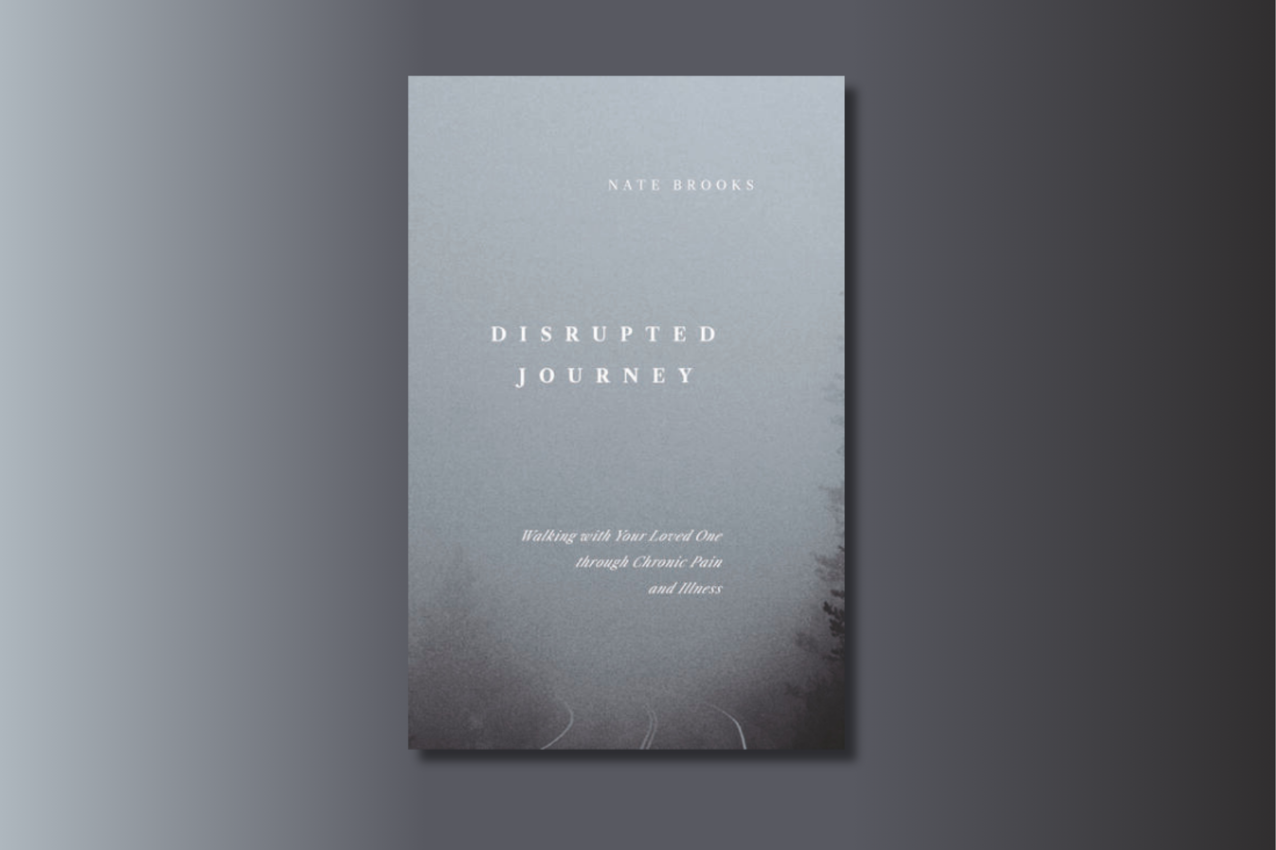 Book Review: Disrupted Journey (Nate Brooks)