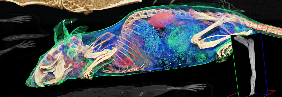csm_PCI_Banner_1154x400_57bd61bd26.png