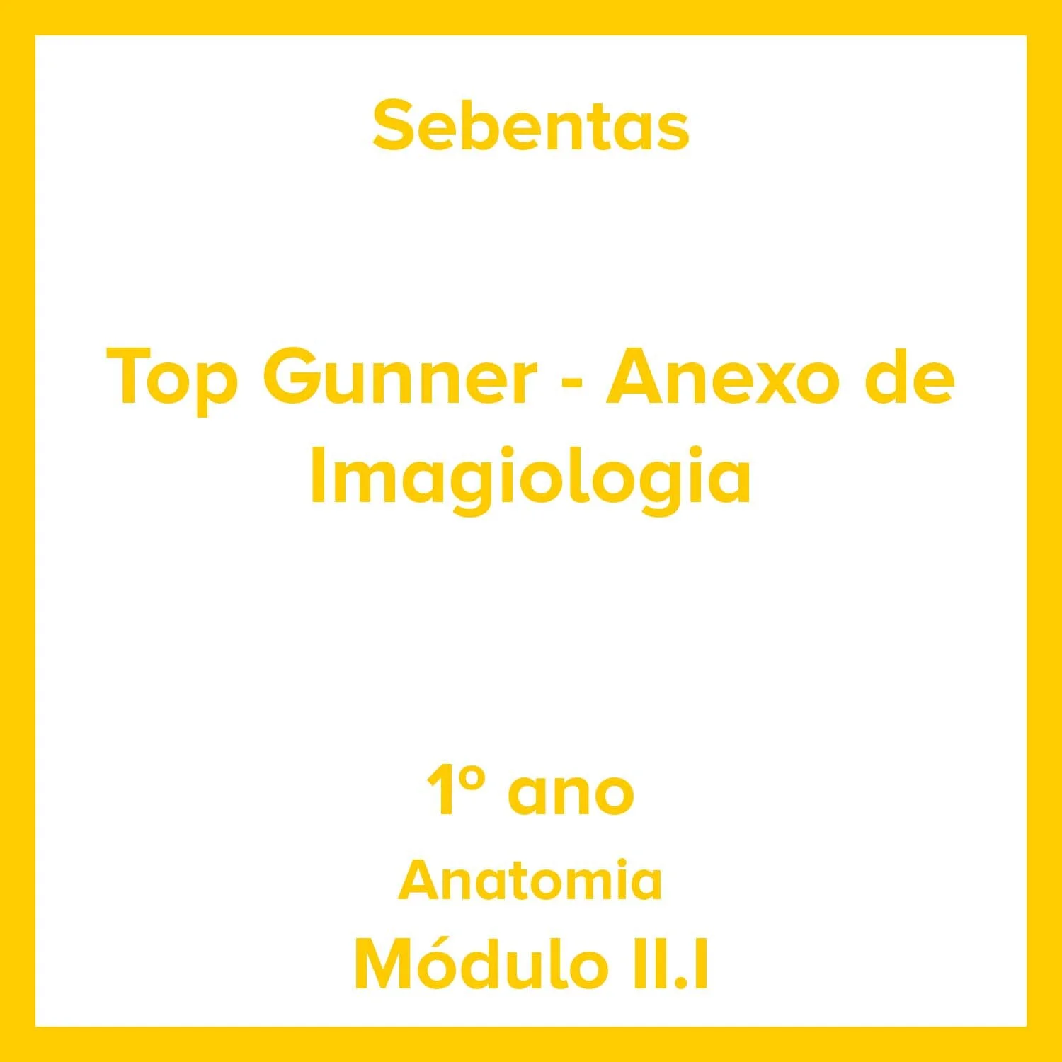 Top Gunner - Anexo de Imagiologia.jpg