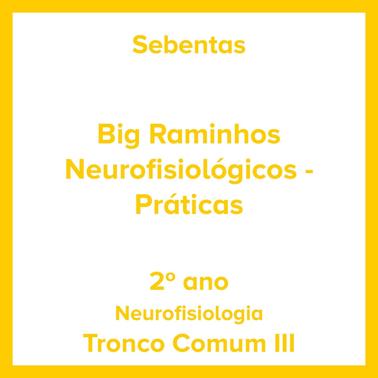 Big Raminhos Neurofisiológicos - Práticas.jpg