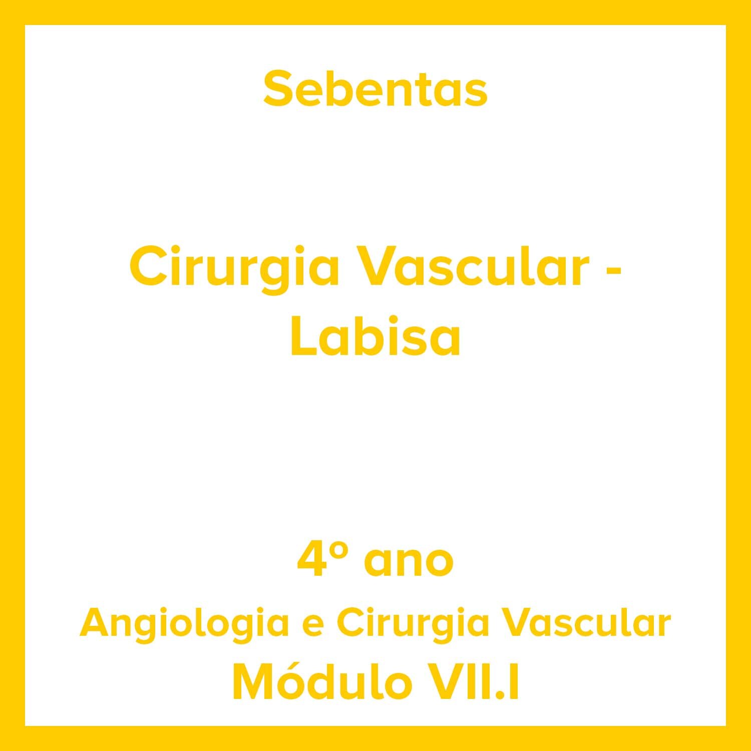 Cirurgia Vascular - Labisa.jpg