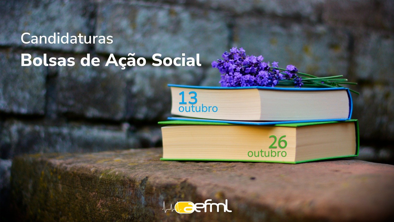 Bolsas Ação Social AEFML 2022/2023 — AEFML | Associação de Estudantes da  Faculdade de Medicina de Lisboa