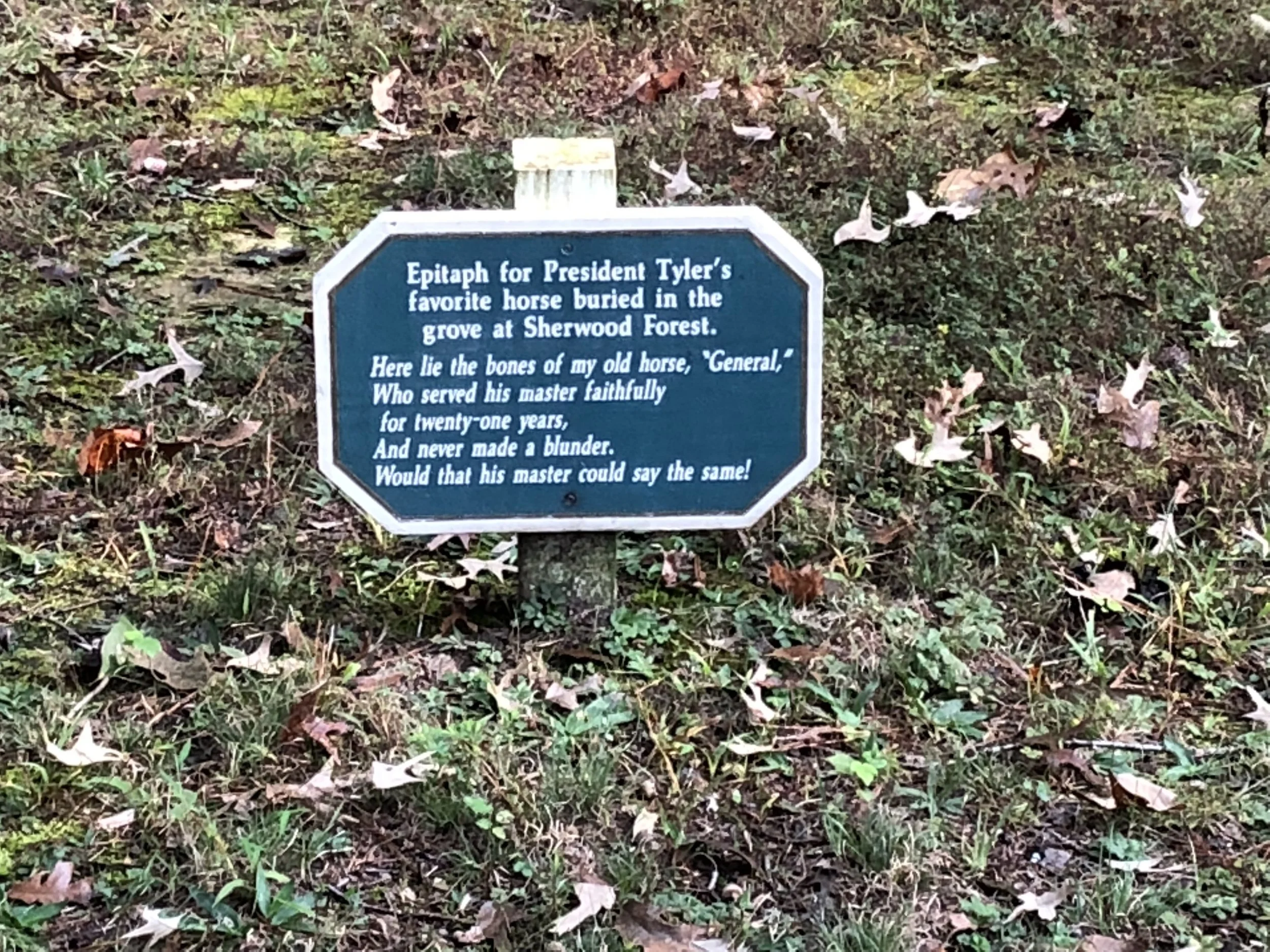 As described in my book, Sherwood Forest was filled with Tyler’s many children and their numerous pets. So there is a fairly extensive pet cemetery which includes President Tyler’s long time horse.