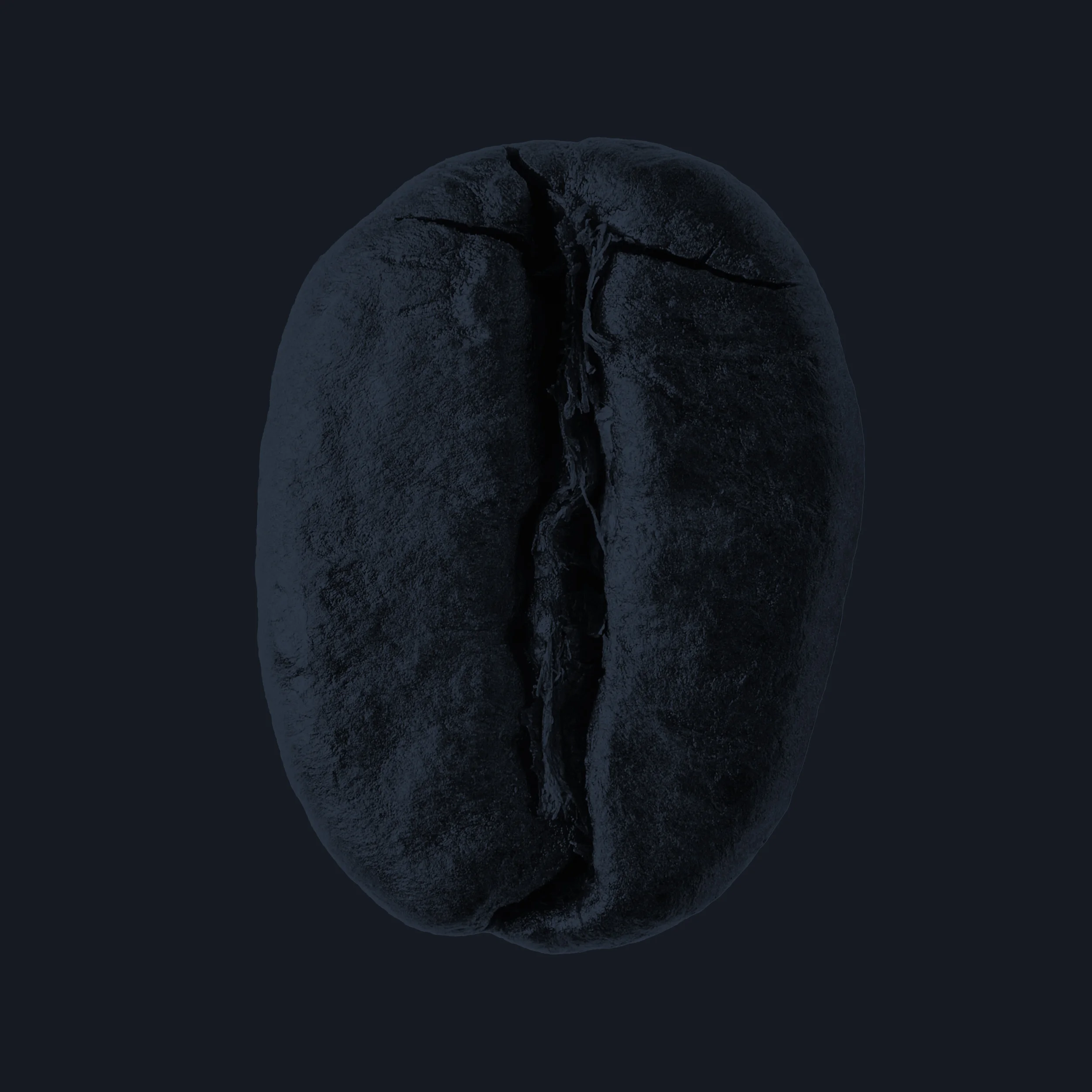bean.jpg