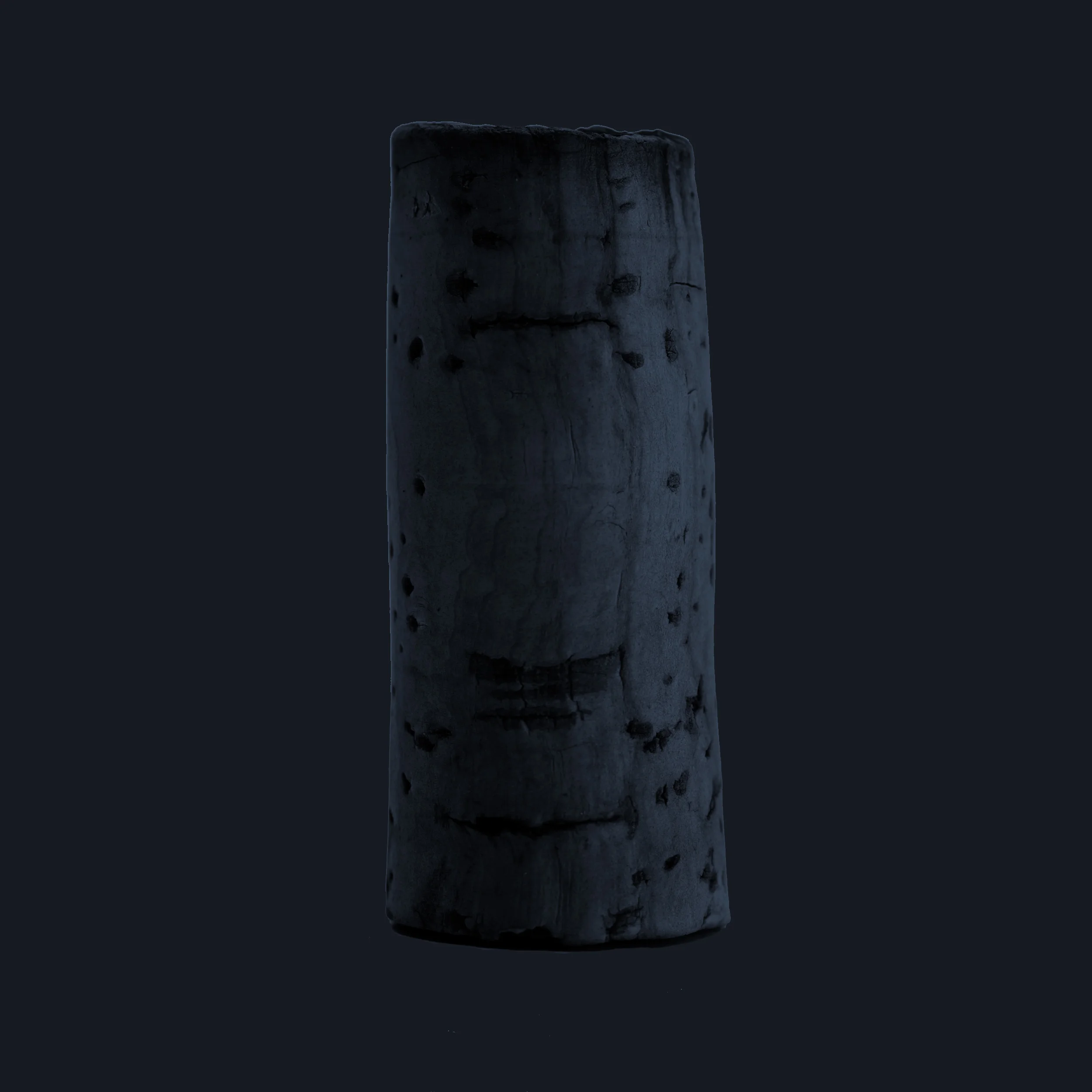 cork.jpg