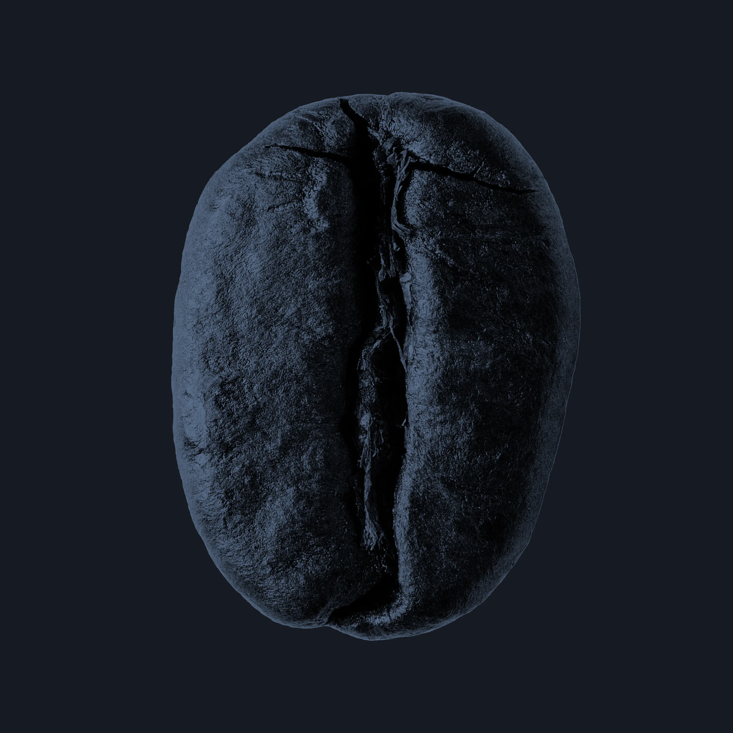 bean.jpg