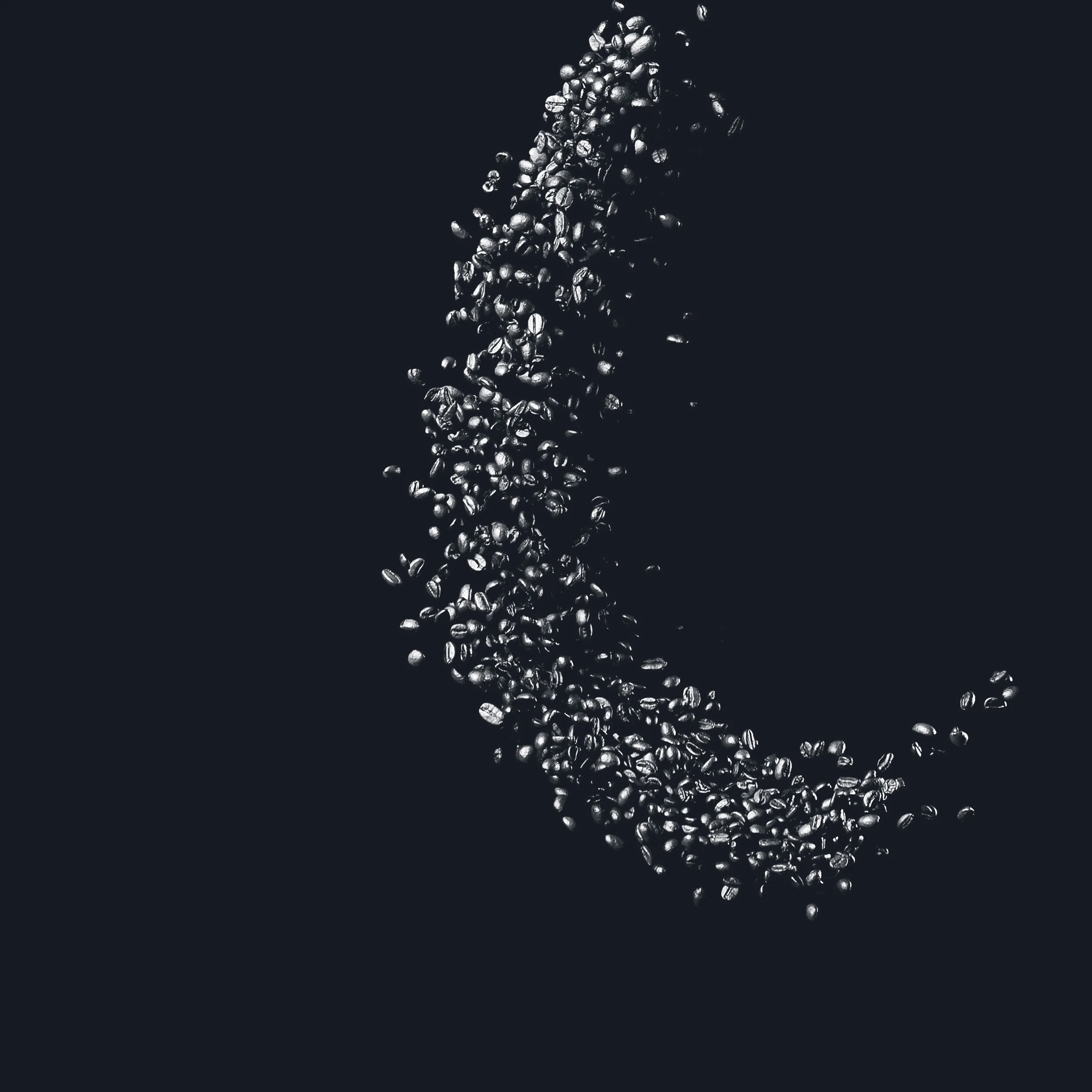 bean2.jpg