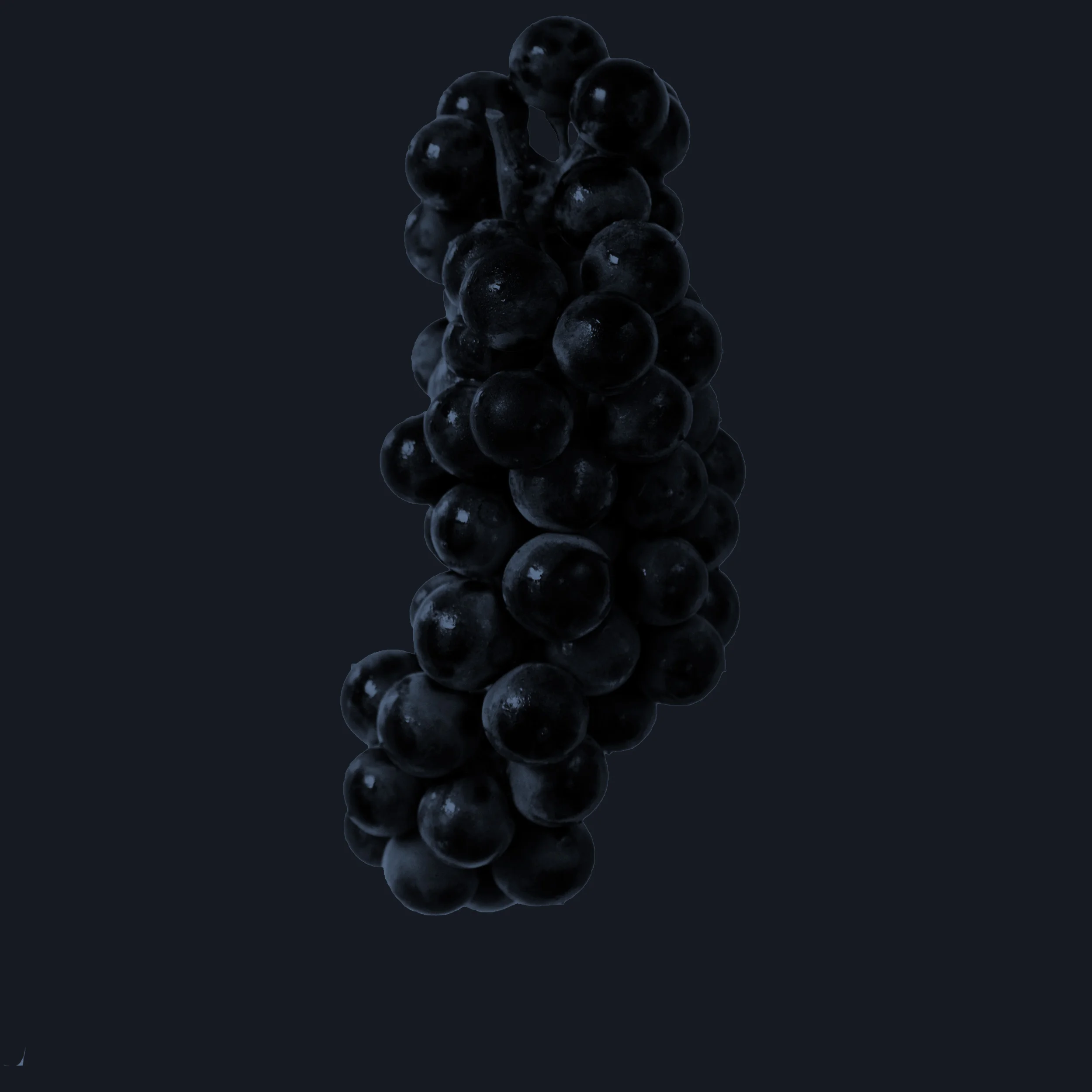 grapes.jpg