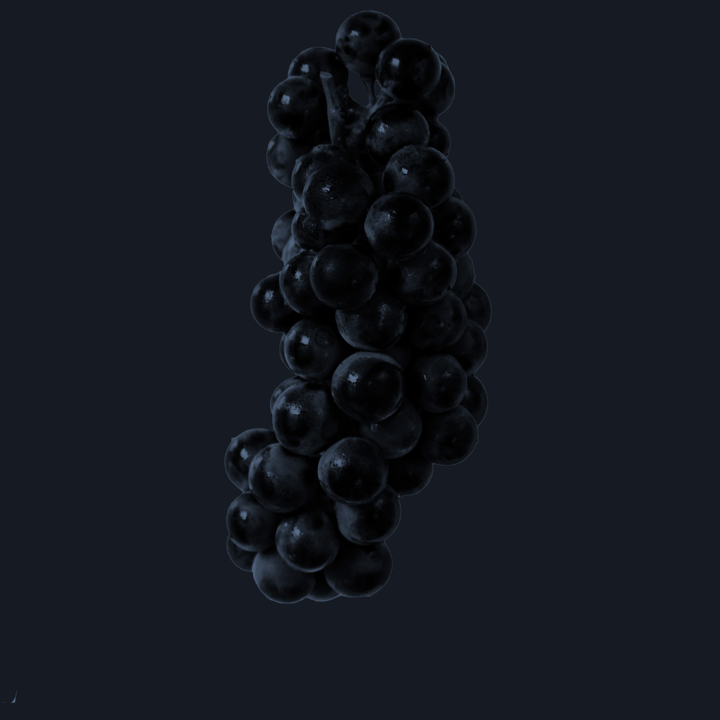 grapes.jpg