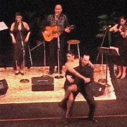 flamenco.jpg