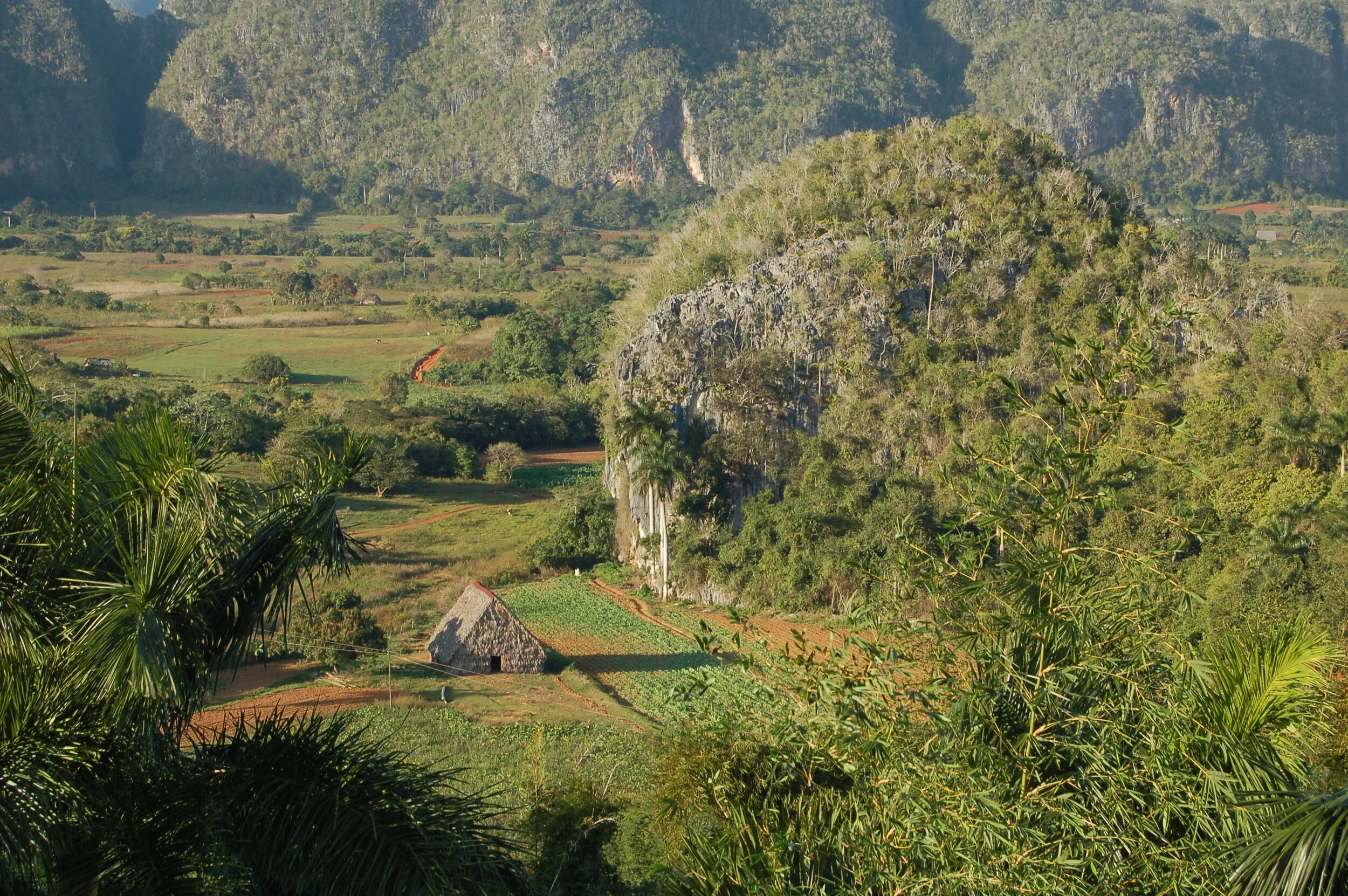 DSC_0603.JPG