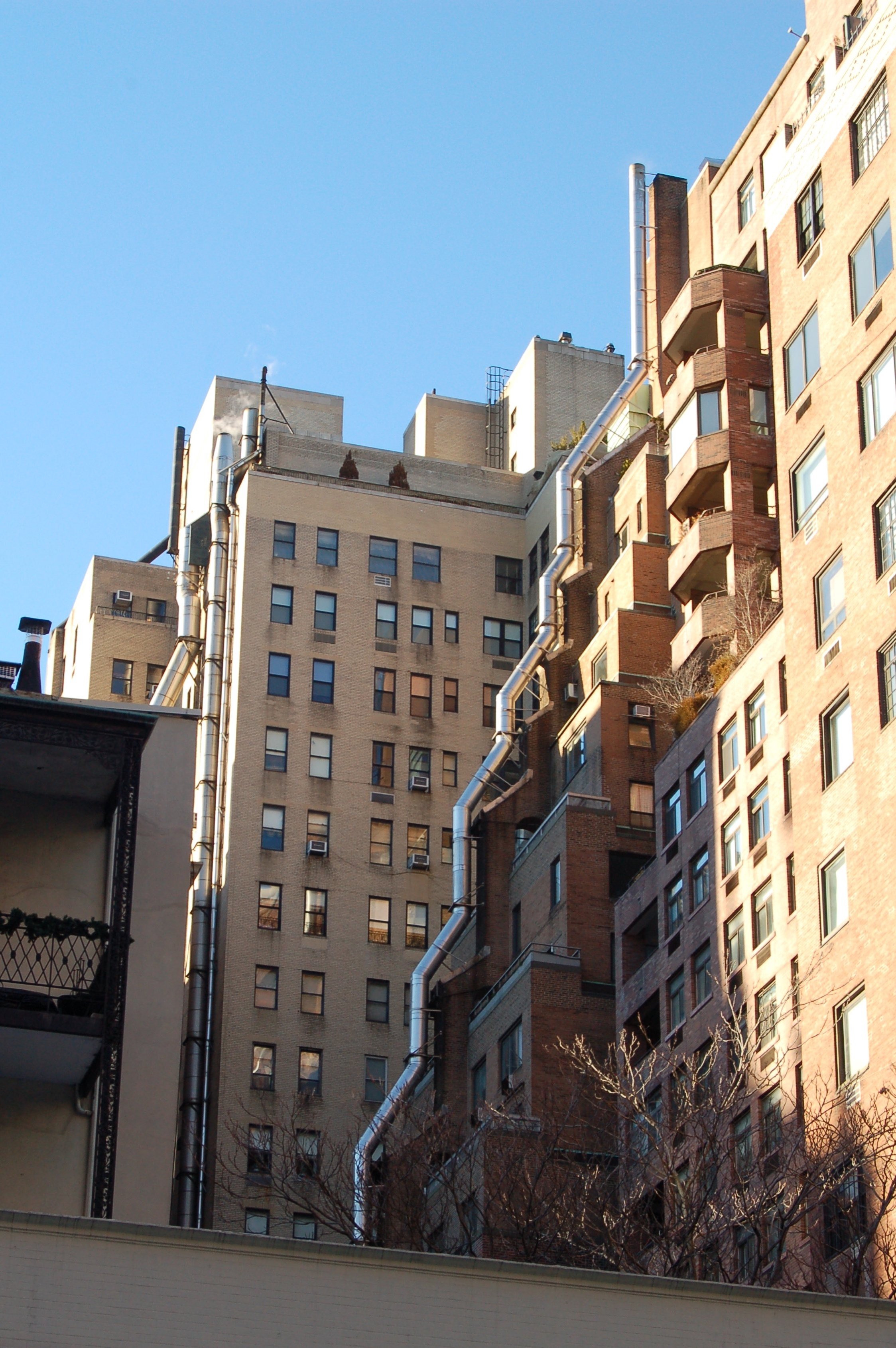 DSC_1532.JPG