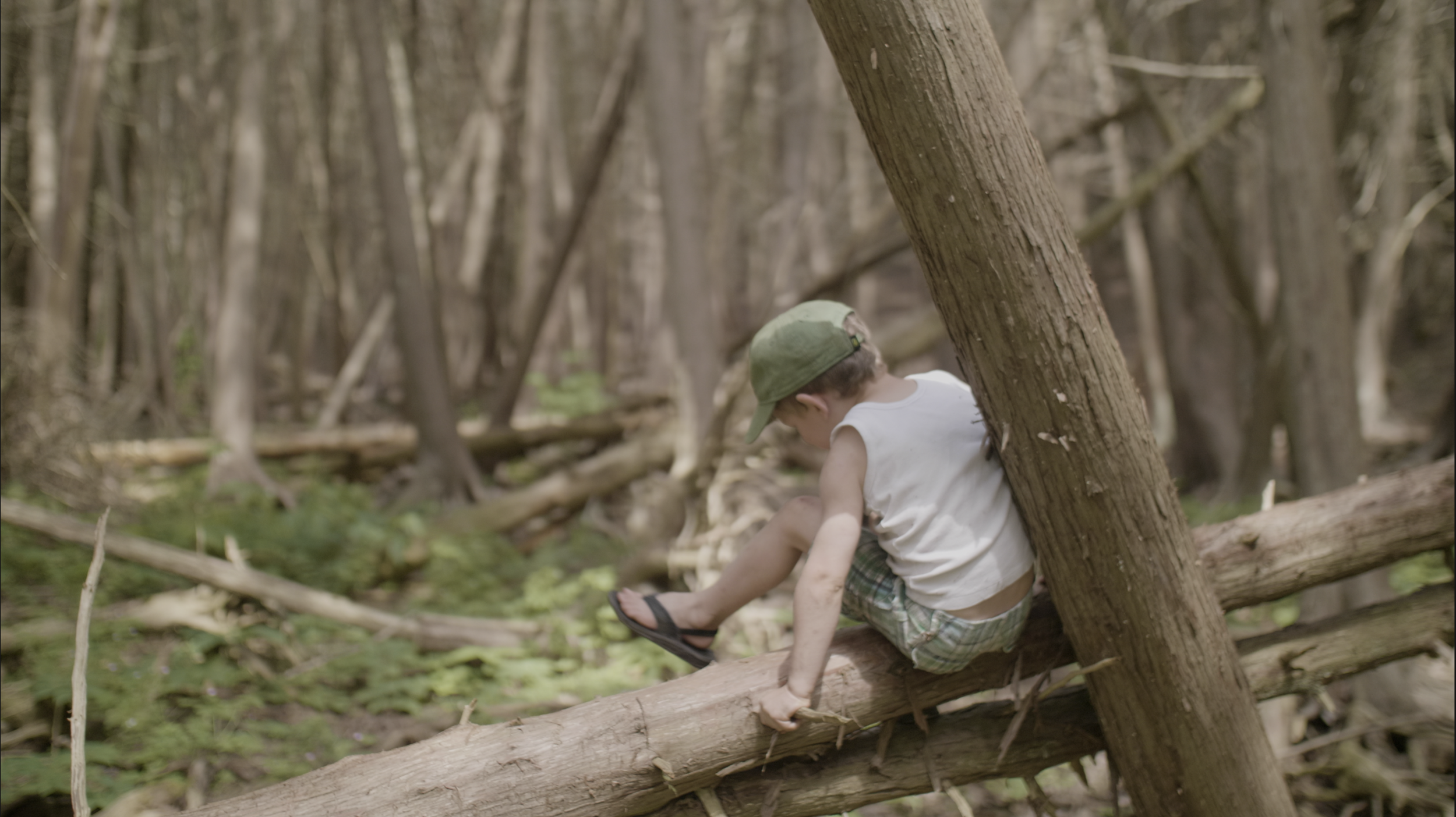 Get inspired about the link between nature immersion and academic capacity