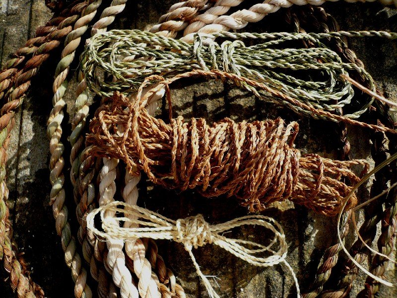 Cordage Techniques and Useful Knots | Adult Workshop