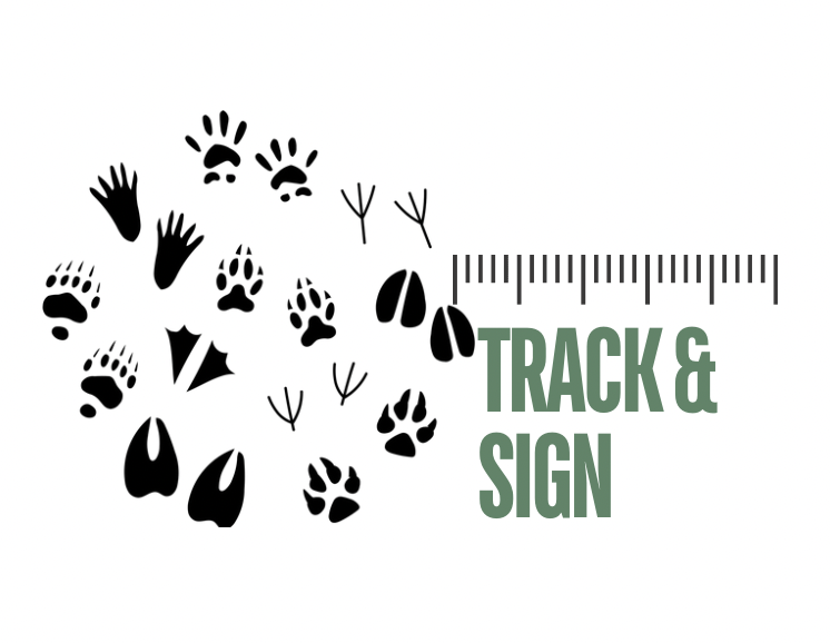 Track & Sign | a Trillium Wadlorf PD Day