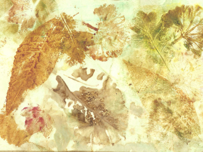Eco-Printing | Adult Workshop