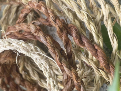 Cordage Techniques and Useful Knots | Adult Workshop