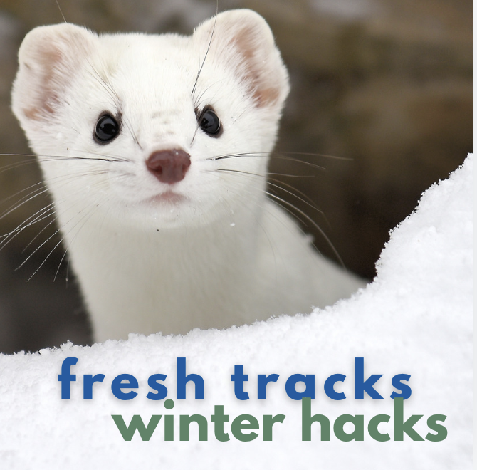 Fresh Tracks, Winter Hacks | January 24th PD for Kids