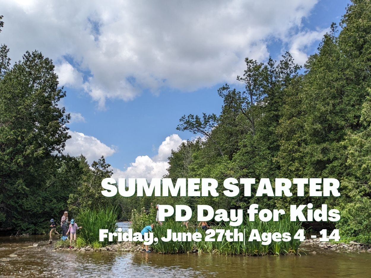 SUMMER STARTER - PD Day Camp for Kids