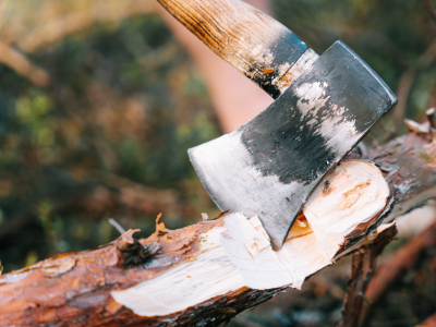 Bushcraft for Women and Non-Binary Folks | Adult Workshop