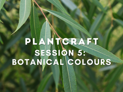 PlantCraft: Botanical Colours & Ecoprinting | Adult Workshop