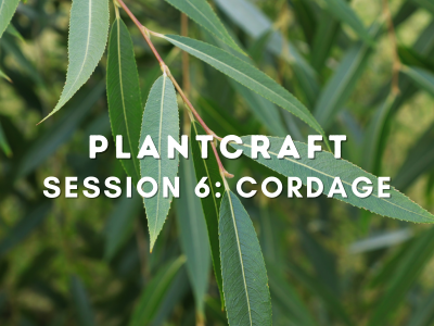 PlantCraft: Cordage | Adult Workshop