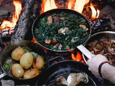 Bushcraft for Women, Trans & Non-Binary Folks | Adult Workshop