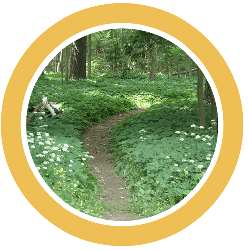 Summer 2024 — The Guelph Outdoor School