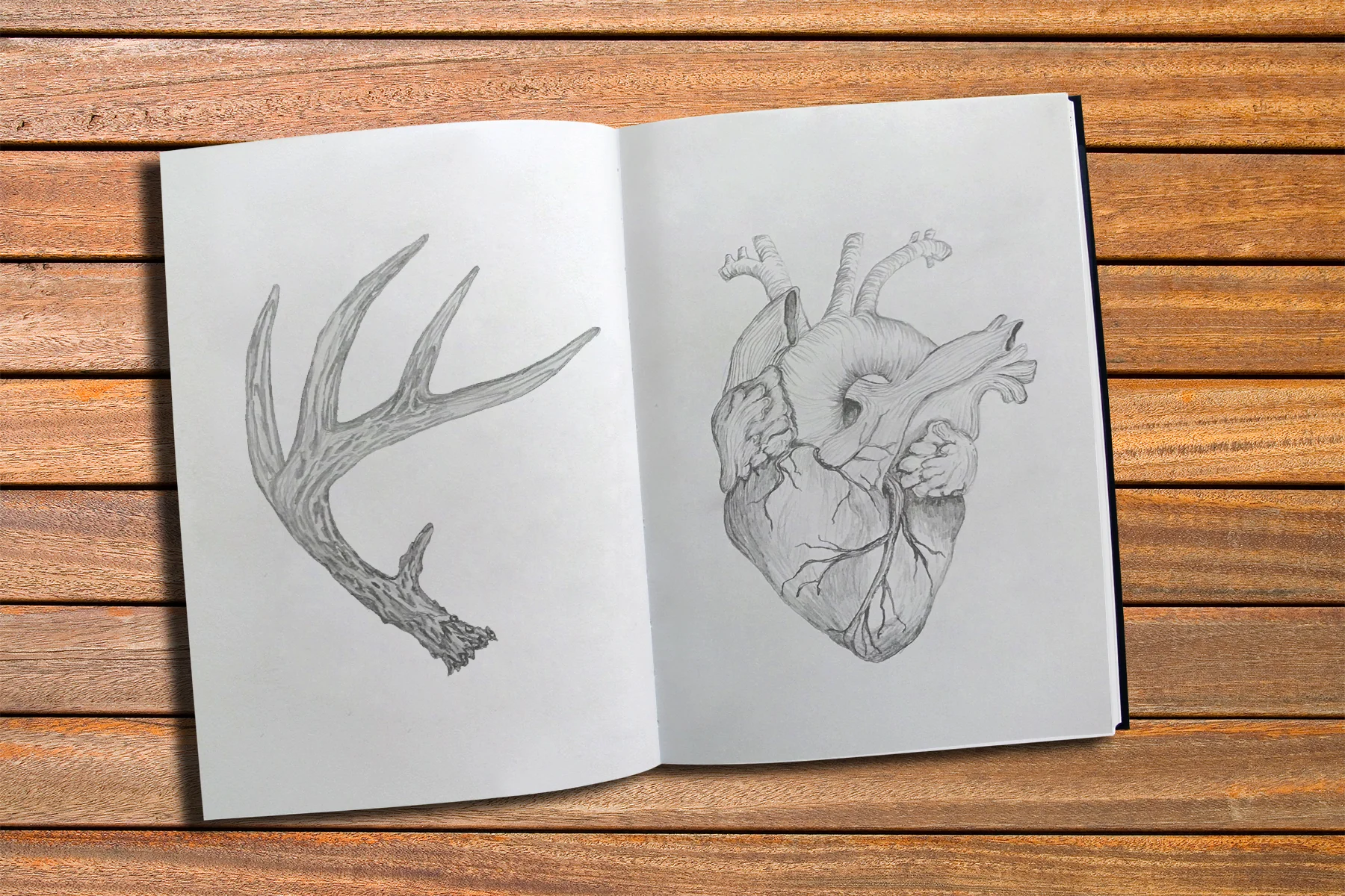 sketches.jpg