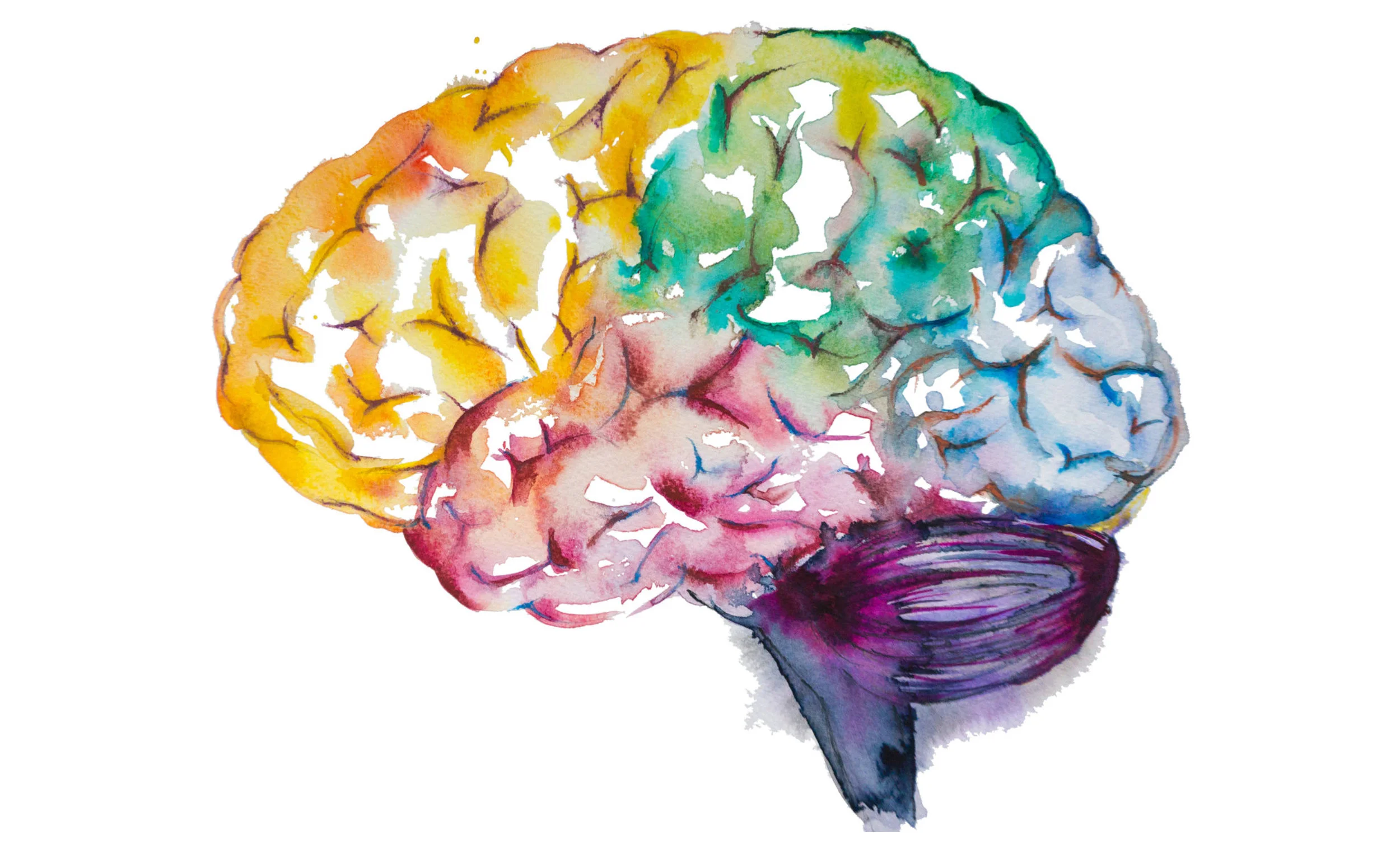 brain art-01.jpg