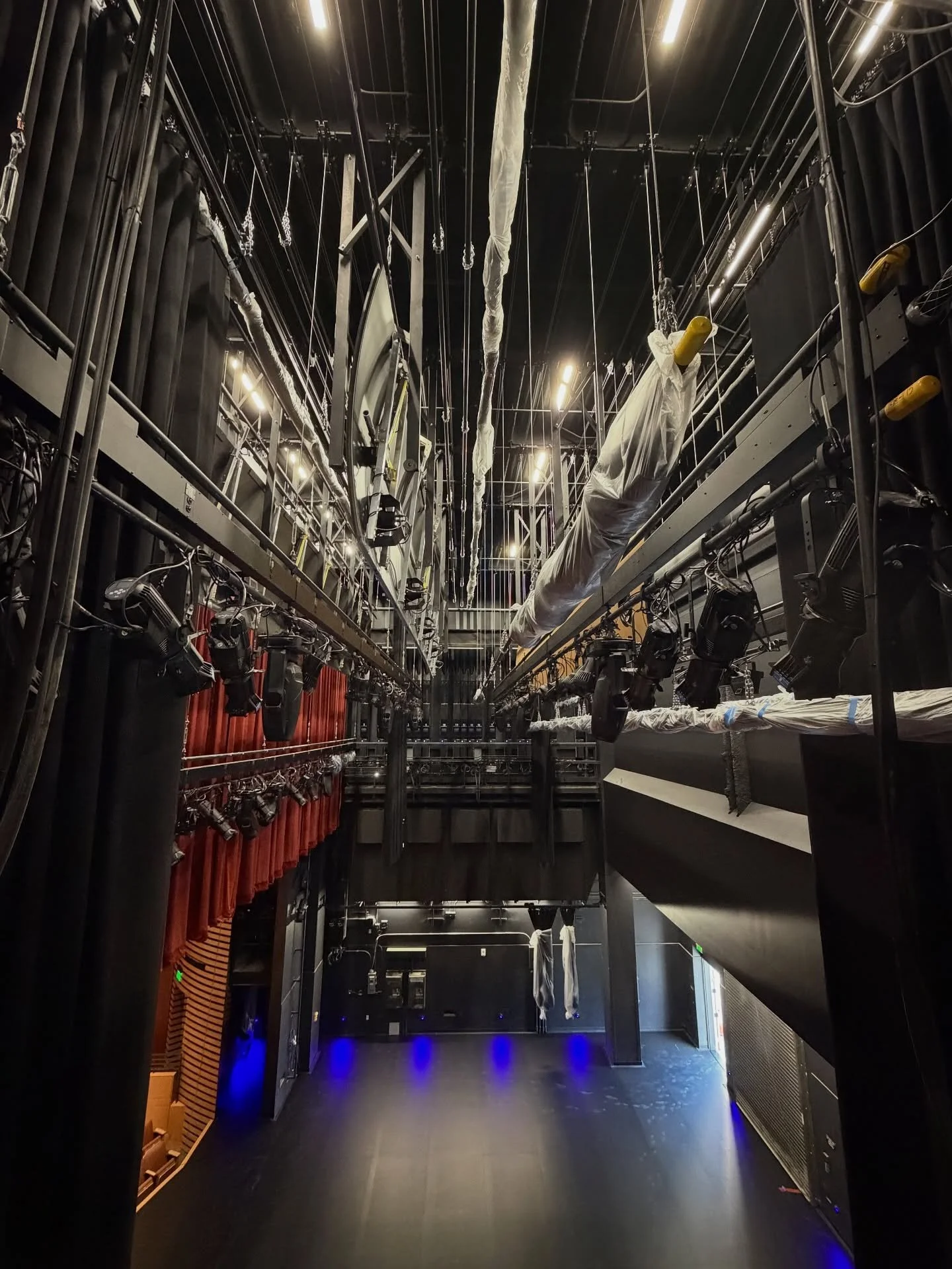 Lights, Camera, Action!