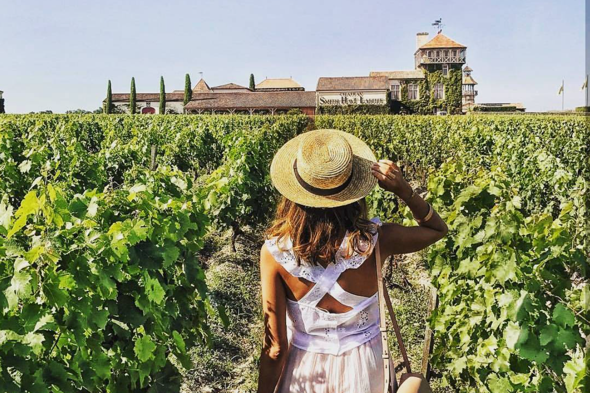 Vineyards.png