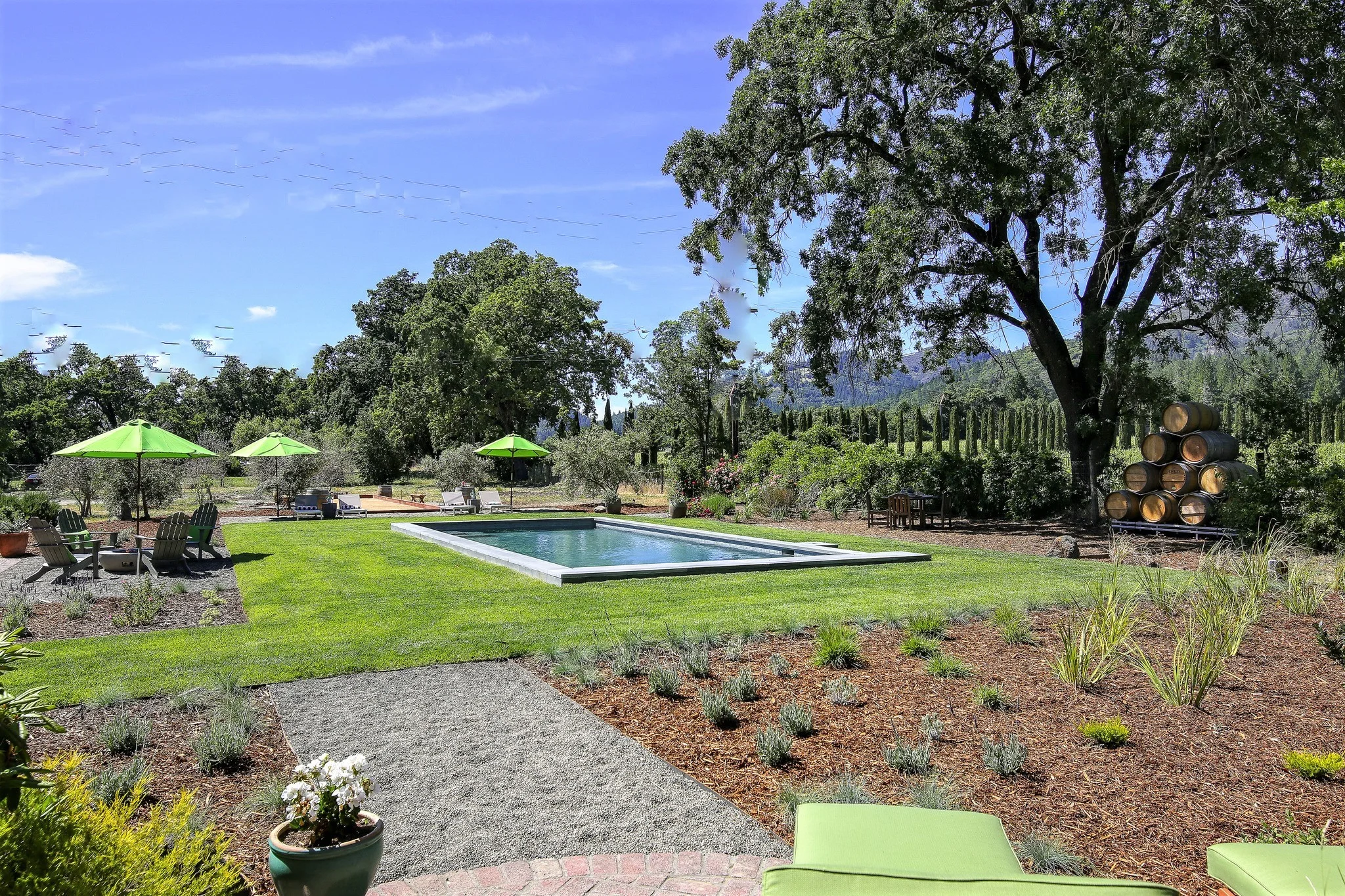 Backyard_from_Master (2).jpg