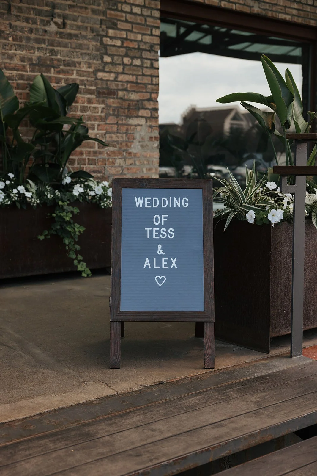 ALEX_TESS_WEDDING-419.jpg